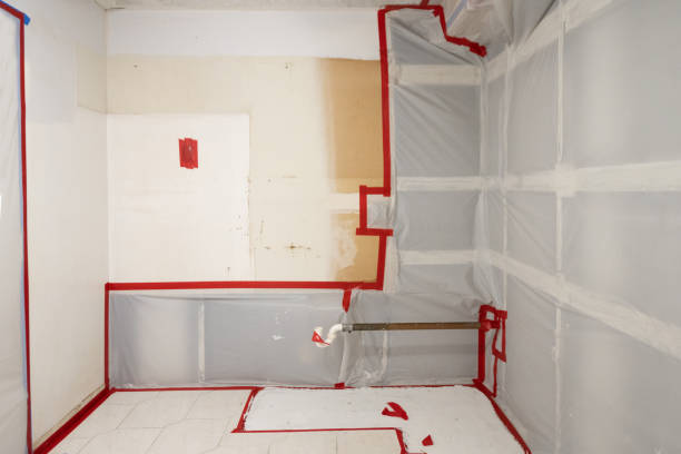 Mold Removal for HVAC Installations in Tignall, GA