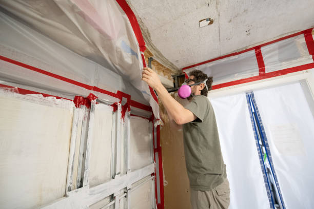 Mold Remediation for Vacation Homes in Tignall, GA